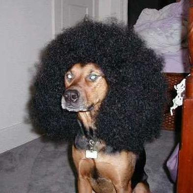 Snoop-dog!