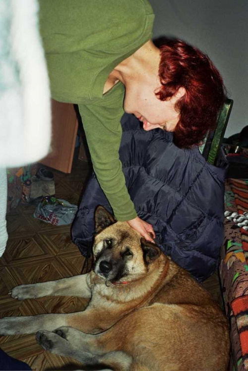G. stołowe 2003