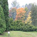 barwy Krasiczyńskiej jesieni