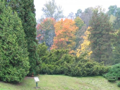 barwy Krasiczyńskiej jesieni