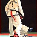 taekwondo