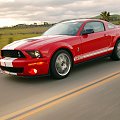 Ford Shelby GT500 (2007) #Ford #Shelby #GT500 #auto #samochod #samochód