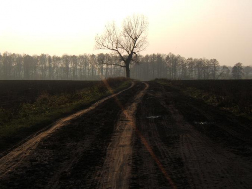 chudów droga