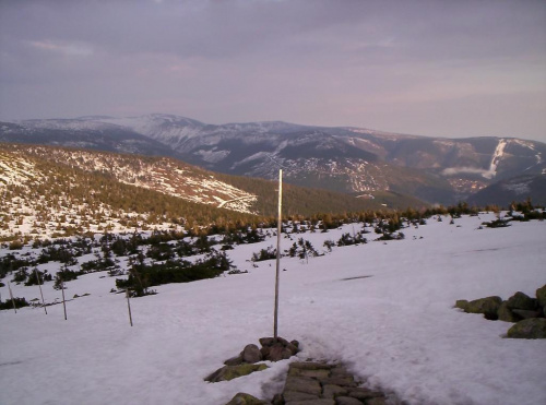 Na stoku Śmielca (1424 m npm), nieopodal Czarnej Przełęczy.