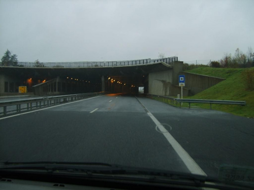 Autostrada A7 do Diekirch/przejscie dla zwierzaków