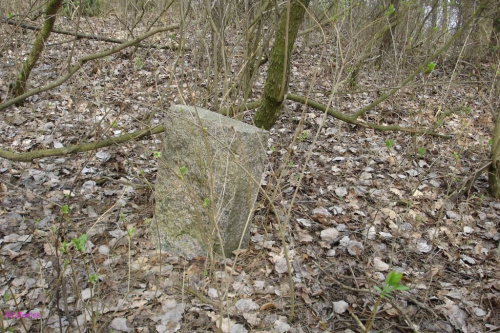 Orłowo - cmentarz wiejski