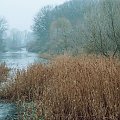 Toruń #przyroda #jesień #rzeka