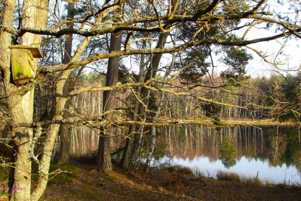 Jezioro Wesołek #Wycieczka #Rower #Remes #Pisz #Ruciane #Mazury #Breyt