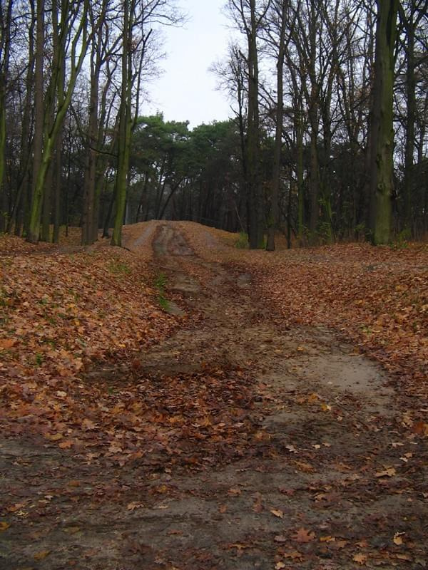 Tor saneczkowy widziany z dołu #park #BydgoskiePrzedmieście #Toruń