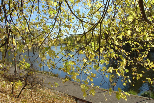 jesienny spacer nad Brdą #NadRzeką
