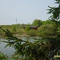 staw