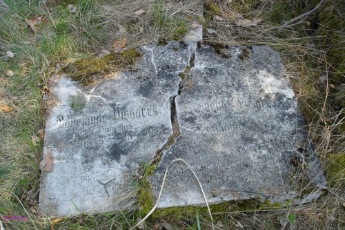 Piskorzewo - cmentarz wiejski