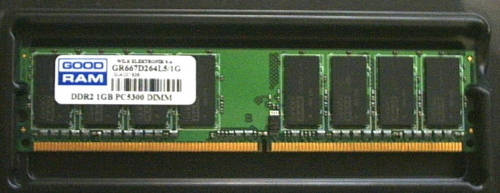 GR 667 Fatbody