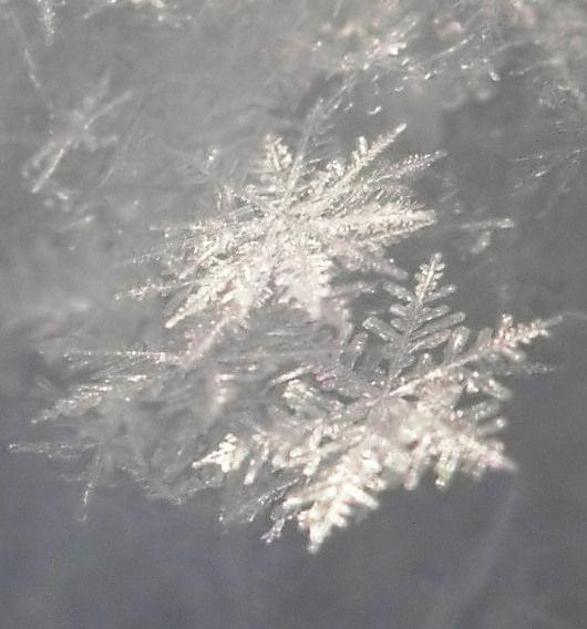 Płatki śniegu #ŚniegSnowflakes