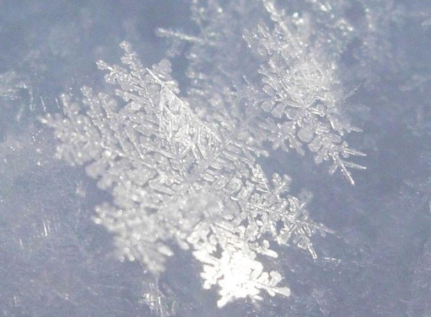 Płatki śniegu #ŚniegSnowflakes