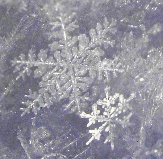 Płatki śniegu #ŚniegSnowflakes