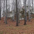 Rezerwat Ruskie Góry - Jura.