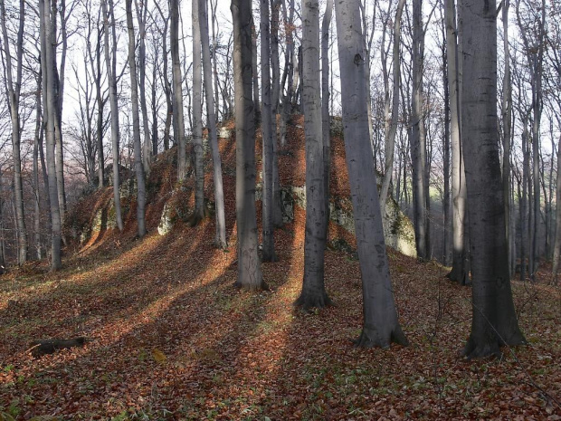 Rezerwat Ruskie Góry - Jura.