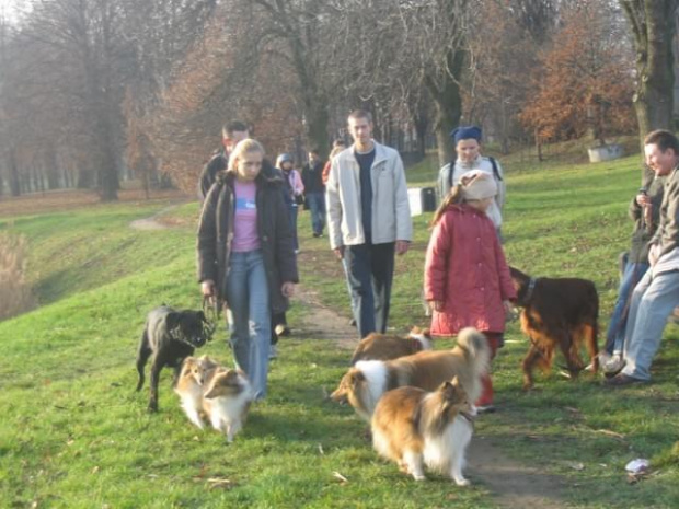 Sheltie - spotkanko jesienne nad dolinką służewiecką