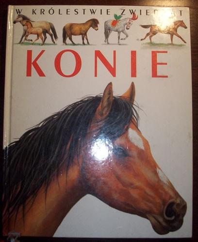 Konie