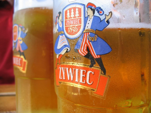 Żywiec