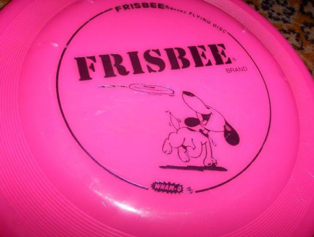 Oczojebny róż ... xD #fastback #frisbee #DogFrisbee