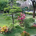 Taipei