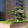 Taipei