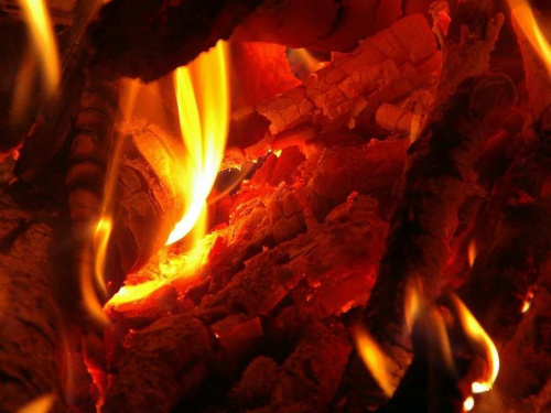#ogień #ognisko