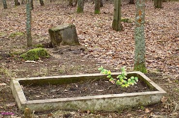 Cmentarz Reinersdorf #CmentarzReinersdorf #Czysta #Pisa #Pisz #Remes #Mazury