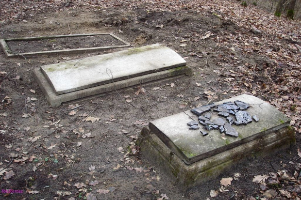 Niedźwiedzie - cmentarz ewangelicki #CmentarzReinersdorf #Czysta #Pisa #Pisz #Remes #Mazury