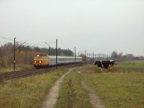 Pociąg IC "Mickiewicz" z Warszawy do Krakowa jedzie przez CMK koło Libszowa