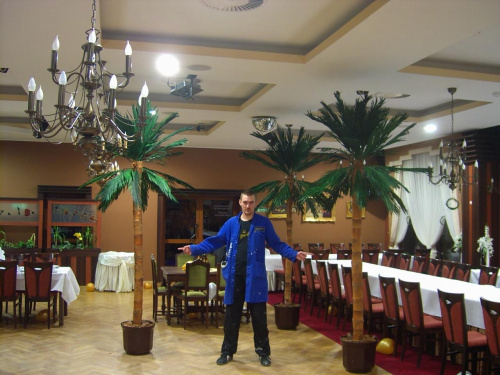 Palma 3metry-Hotel Kosmowski
Września
Wykonawca i jego palmy