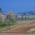 Widok z okna na magiczny most :)i kwitnące czereśnie Pawła