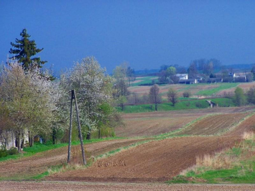 Widok z okna na magiczny most :)i kwitnące czereśnie Pawła