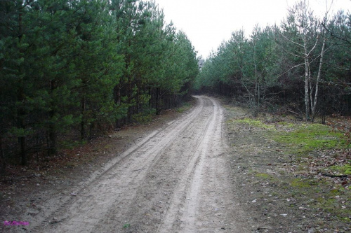 Okolice Orzysza #Remes #Mazury #Pisz