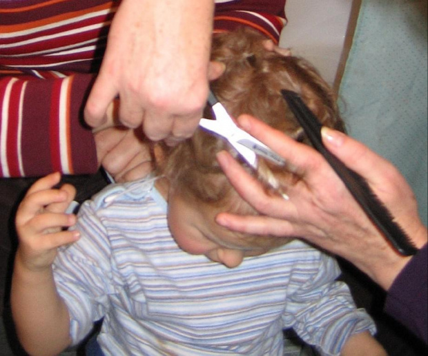 Babcia Szewczuk obcina włosy wnukowi