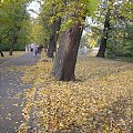 Łazienki ... w złotych kolorach liści