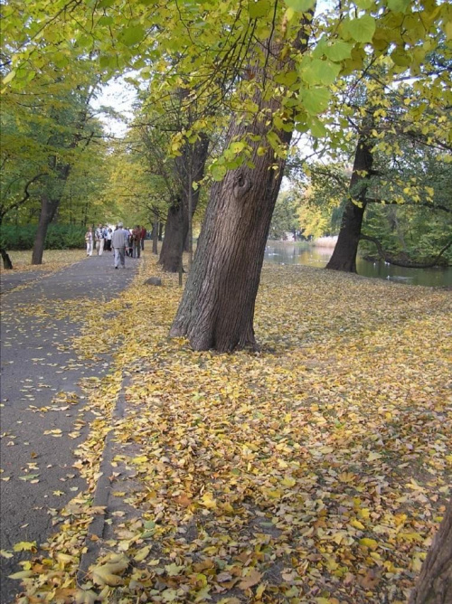 Łazienki ... w złotych kolorach liści