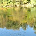 Park Skaryszewski na Pradze