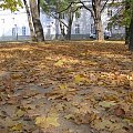 Łazienki ... w złotych kolorach liści
