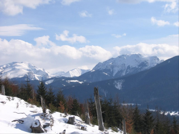 Zuberec - marzec 2006 - narty w Oravicy oraz w Zubercu i ME w psich zaprzegach #Zuberec #Oravice #Tatry #Narty #Słowacja #husky