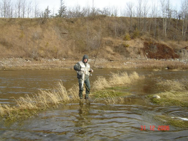 Wyprawy na polnoc Dec.31/2006r.