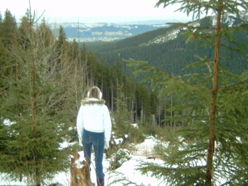 tatry