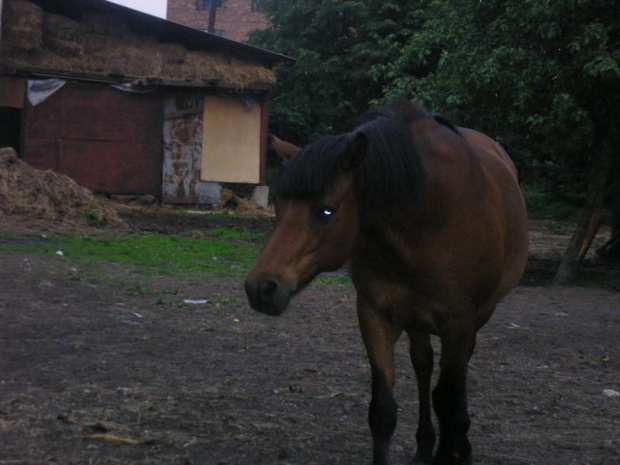 Mój Bąbelek:D