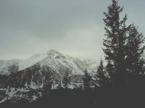 tatry