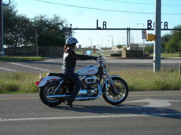 Lady Harley