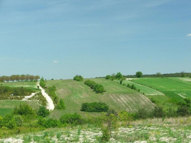 Biała droga z Męćmierza do Podgórza (widok w stronę Męćmierza)