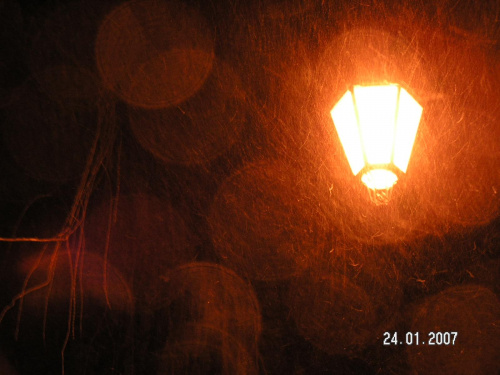 Parki miejski w Zgierzu - nowa lampa
