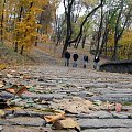 #jesień #Kijów #liście #park